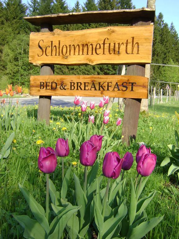 Bed & Breakfast Schlommefurth St. Vith Exterior foto