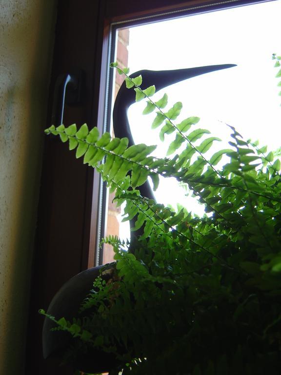 Bed & Breakfast Schlommefurth St. Vith Quarto foto